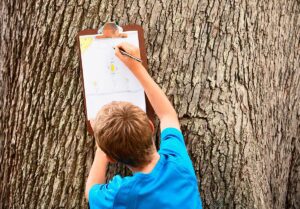 A-childs-view-in-the-family-court
