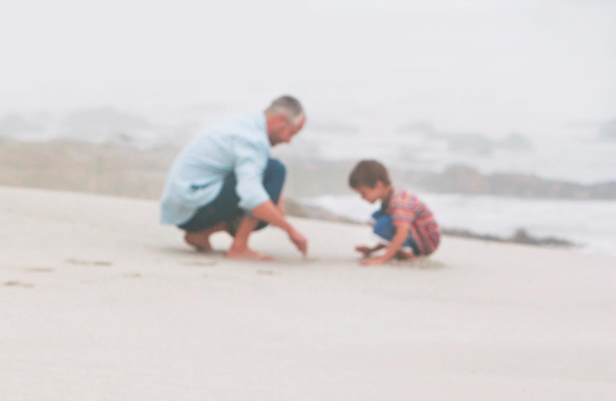 The Family Court recognises the importance of the relationship between a grandparent and a child.